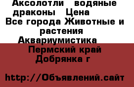 Аксолотли / водяные драконы › Цена ­ 500 - Все города Животные и растения » Аквариумистика   . Пермский край,Добрянка г.